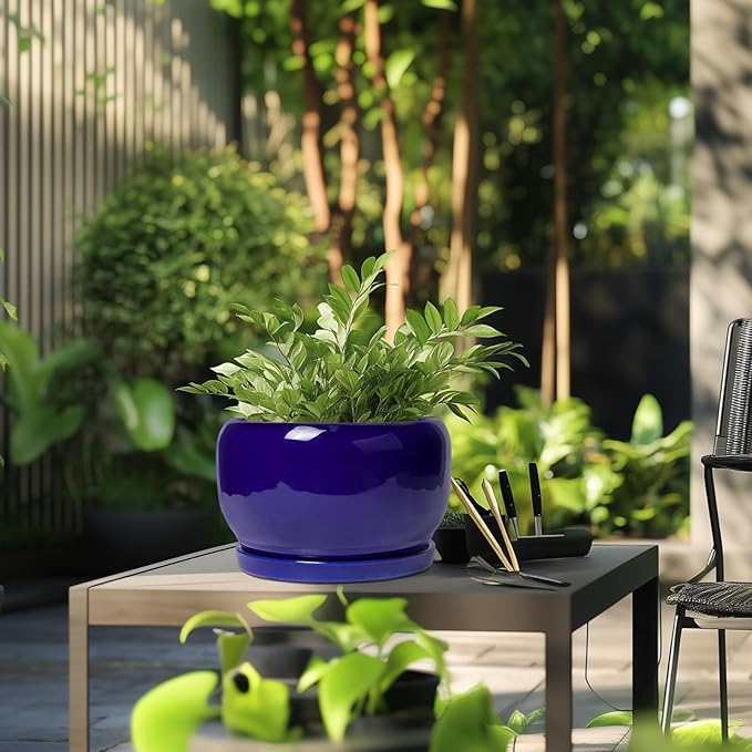 SQOWL Ceramic Plant Pot - Image 5