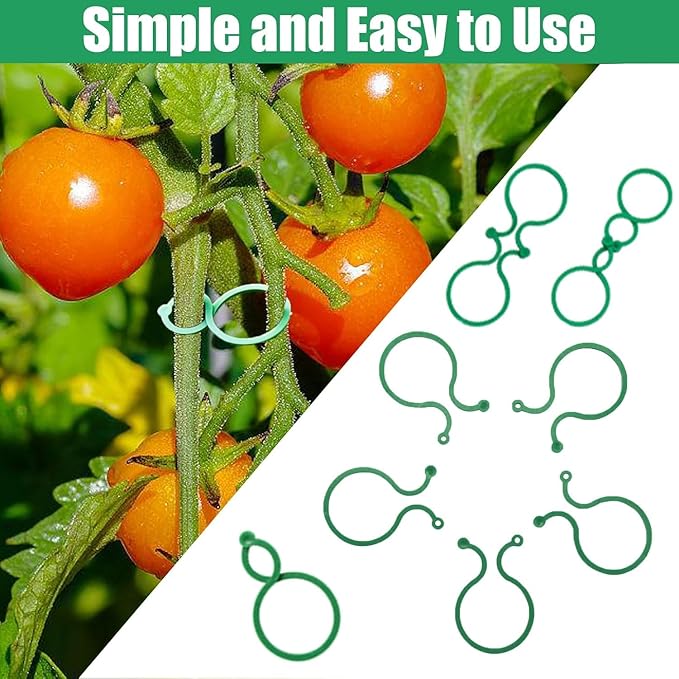 Hysagtek 200 Pcs Plant Clips for Climbing Plants Garden Clips Plant Support - Image 3