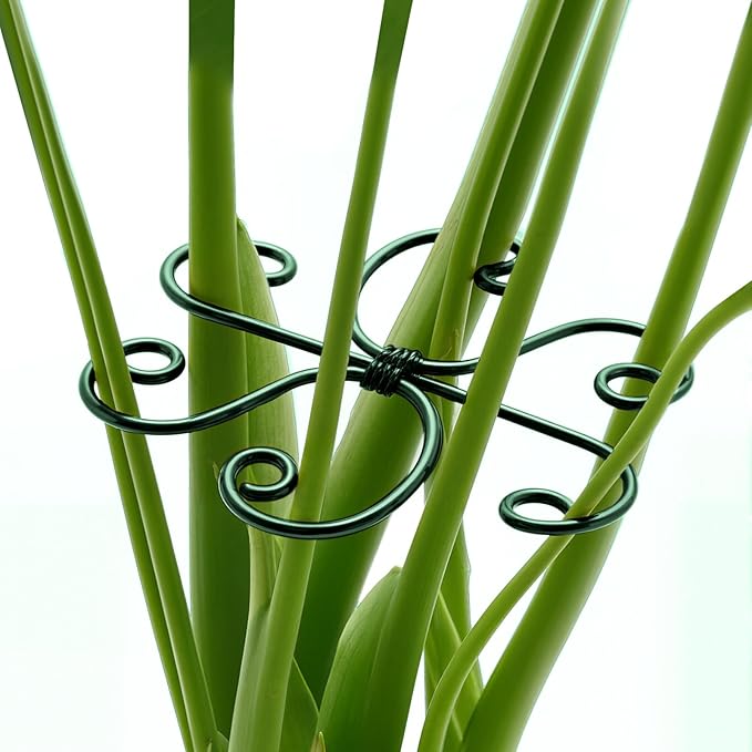 4PCS Green Iron Monstera Support, Uniquely Designed Plant Support Stakes by Unknown