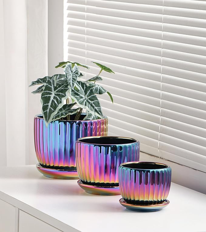Ton Sin Flower Pots, Small Glazed Succulent Pots - Image 5