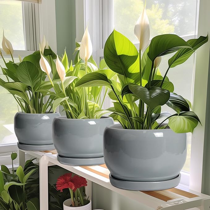 SQOWL Ceramic Pot for Plants - Image 6
