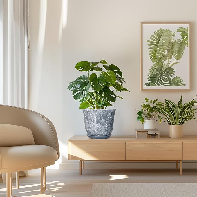 Ceramic Plant Pots - Image 7