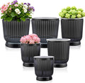 Set of 6 Self Watering Plant Pot 3 Sizes Plastic Double Layer Self Watering by Unknown