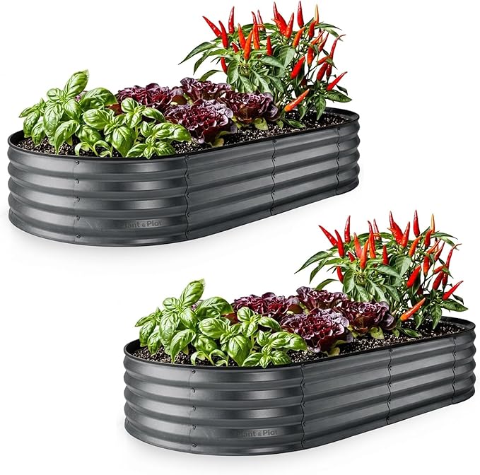 Plant & Plot Galvanized Raised Garden Beds Outdoor // 6×3×1 ft Planter Raised by PlantPlot