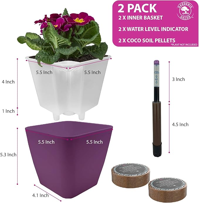 GARDENIX DECOR 5" Self Watering pots - Image 4