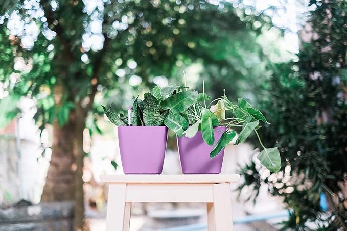 GARDENIX DECOR 5" Self Watering pots - Image 7