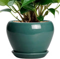 Indoor Plant Pot 6 Inch by Ceramicfor