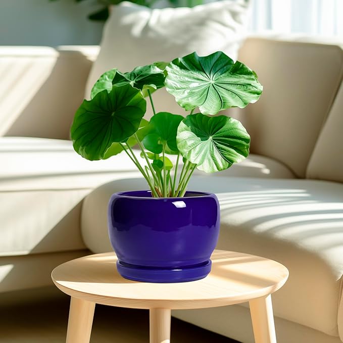 SQOWL 8 Inch Plant Pot - Image 2