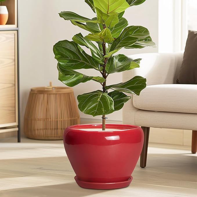 10 Inch Plant Pot - Image 2