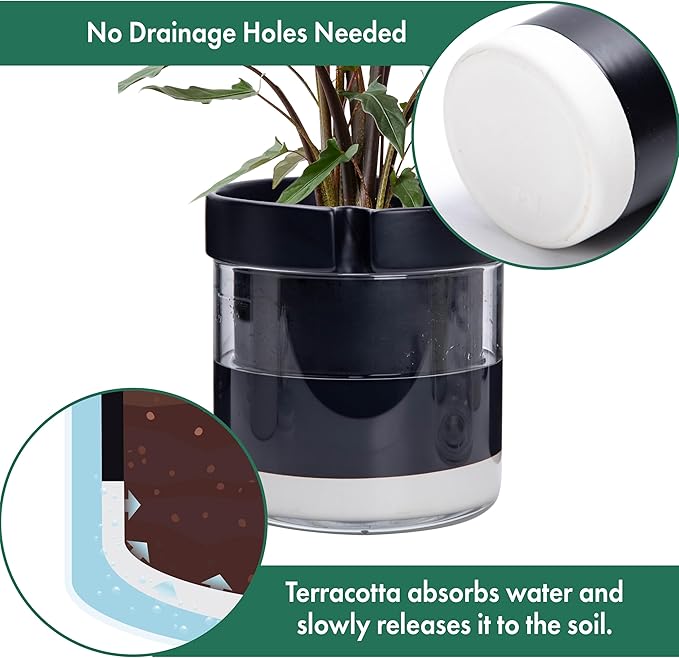 Phoenix Vine 8 Inch Self Watering Terracotta Planter - Image 5