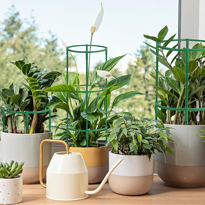 36 Packs Plant Support Stake, Half Round Stackable 3 Tier Garden Flower Support - Image 7