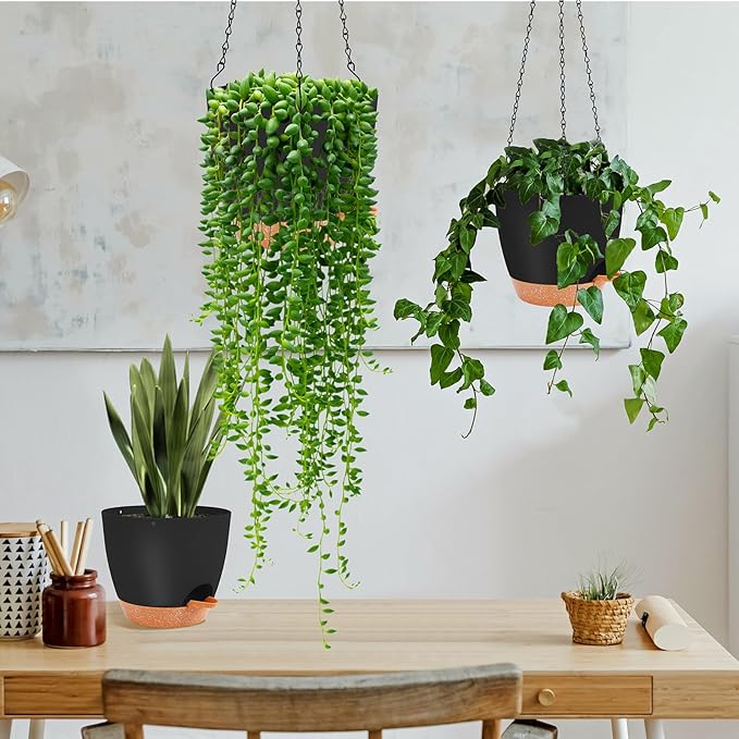 GARDIFE Hanging planters for Indoor Plants, 8 inch Hanging Planter, Self - Image 6