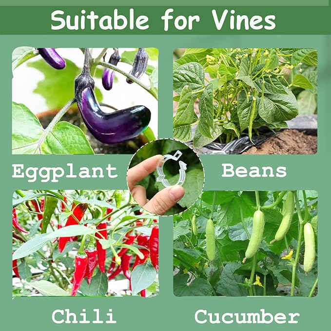 Plant Support Clips, Plastic Trellis Clips, Grape Vine Tomato Vine Vegetables - Image 6