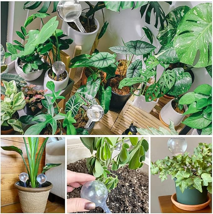 10 Pcs Clear Plant Watering Globes, Plastic Self-Watering Bulbs, Flower - Image 5