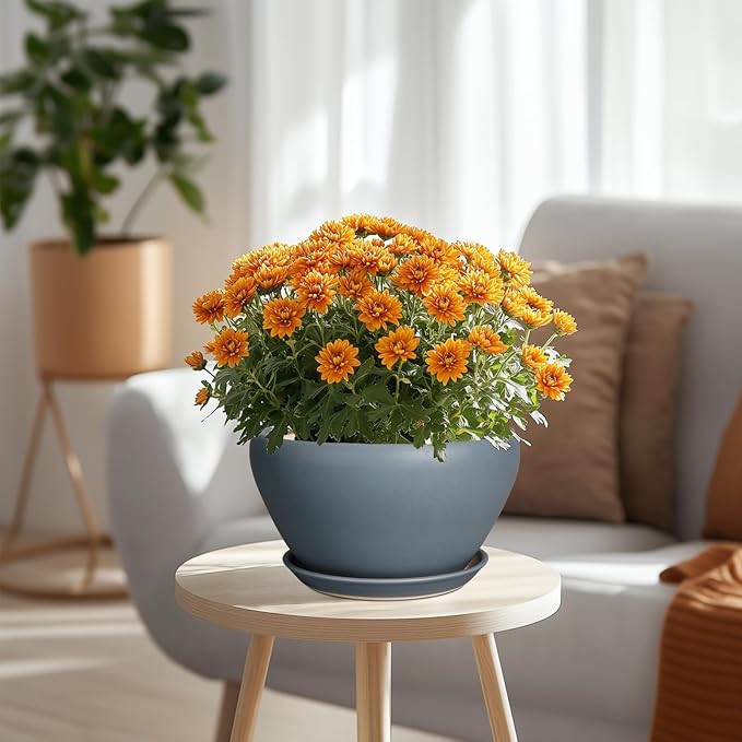 Ceramic Pots for Plants - Image 2