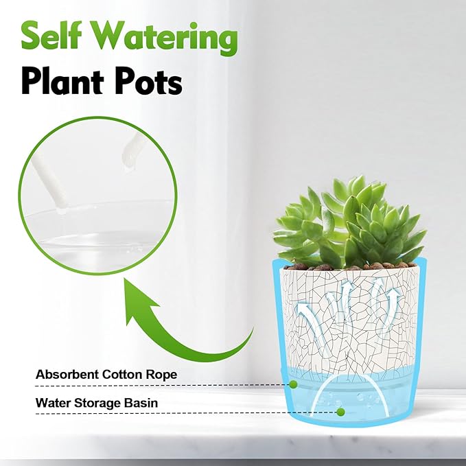 Self Watering Pots for Indoor Plants, 6 & 5 & 4 Inch Stylish Flower Pots - Image 3