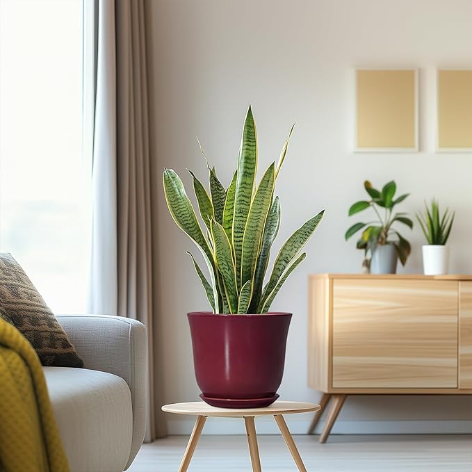 Ceramic Planter - Image 5