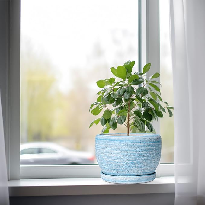 SQOWL Ceramic Planter - Image 4