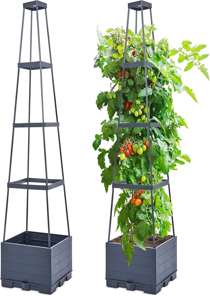 GENMOUS Raised Garden Bed with Tomato Planter Box Trellis, Tomato Planter Cage by GenMousCo