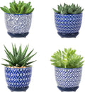Selamica Ceramic Succulent Pots by Selamica
