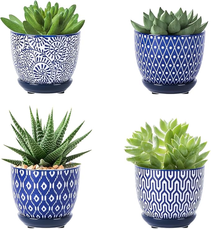Selamica Ceramic Succulent Pots by Selamica
