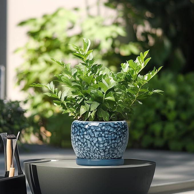 SQOWL Ceramic Pots for Plants - Image 4