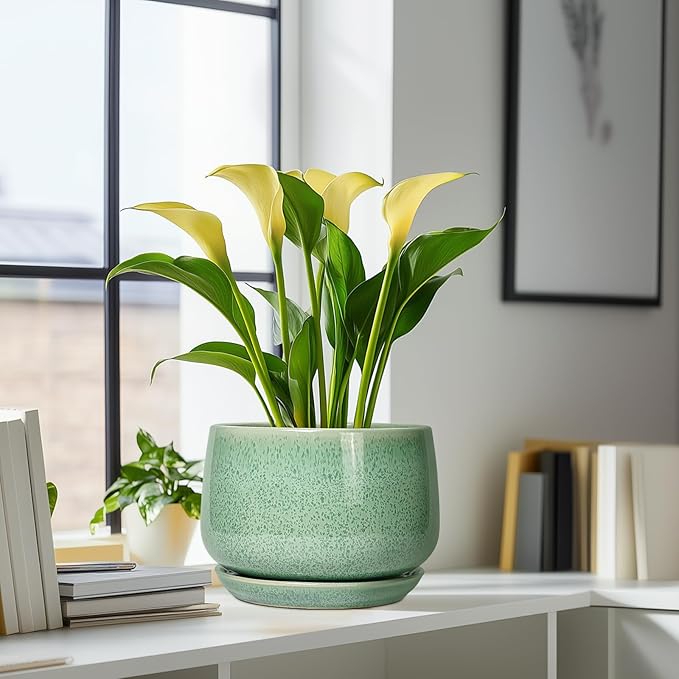 G EPGardening Ceramic Planter - Image 6