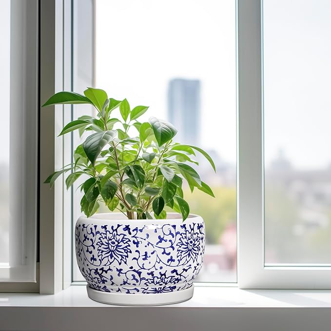SQOWL Ceramic Pots for Plants - Image 4