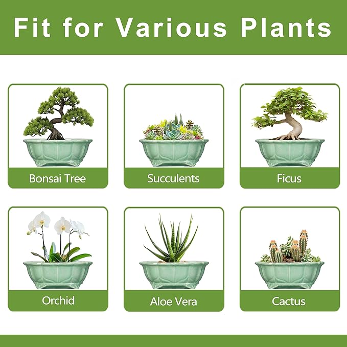 Bonsai Pots 11 Inch - Image 7