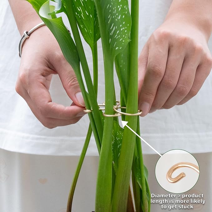 Monstera Plant Stem Support Set - Image 5