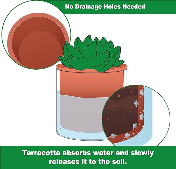 Phoenix Vine 4 Inch 6 Inch Self Watering Plants Pots, Design Terracotta Pots - Image 3