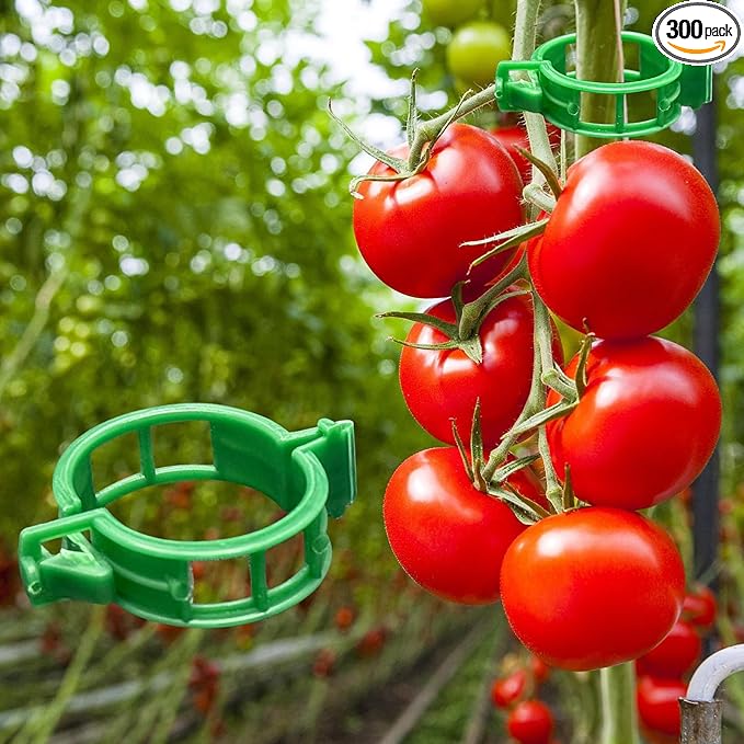 Dalzom® 300Pcs Tomato Clips, Plastic Trellis Clips Plant Support Clips by Dalzom