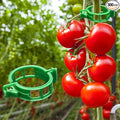 Dalzom® 300Pcs Tomato Clips, Plastic Trellis Clips Plant Support Clips by Dalzom