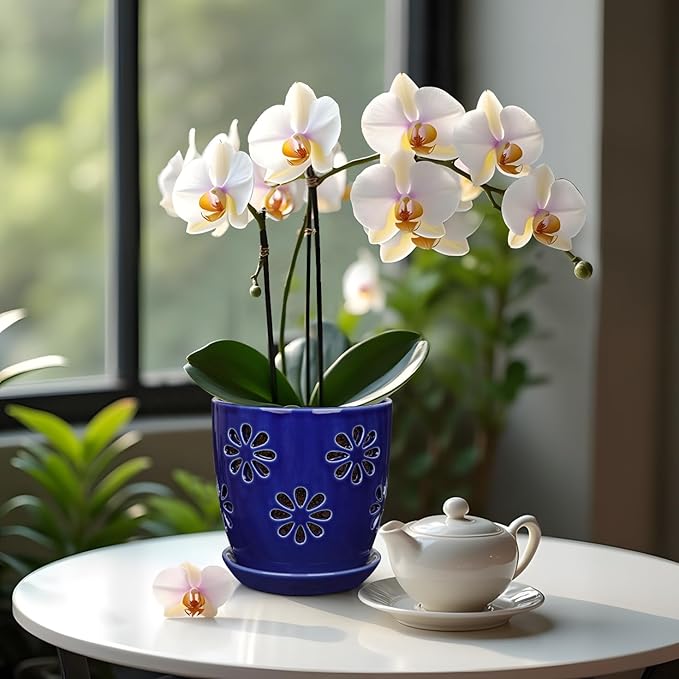 Oairse 6 inch Orchid Pots with Holes, Royal Blue Ceramic Orchid Pot - Image 5