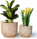 YBX 8 Inch + 6 Inch White Flower Pattern Plant Pots, Sand Glazed Ceramic Planter by YBXYIBOXUAN