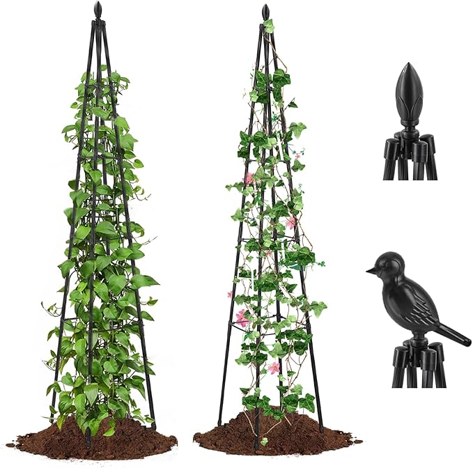 2 Pack Garden Trellis for Climbing Plants Outdoor, 63inch Tall Rustproof Metal by AlisisFores