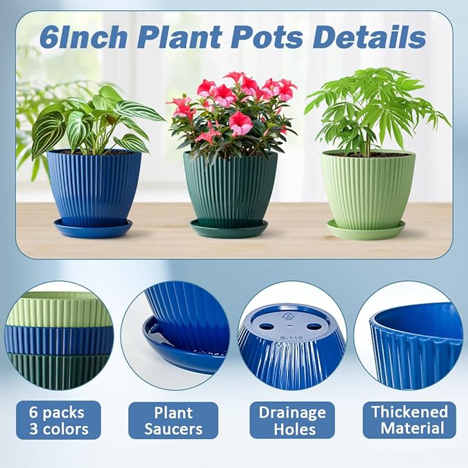 6 Inch Plant Pots, Plastic Flower Pots - Image 6