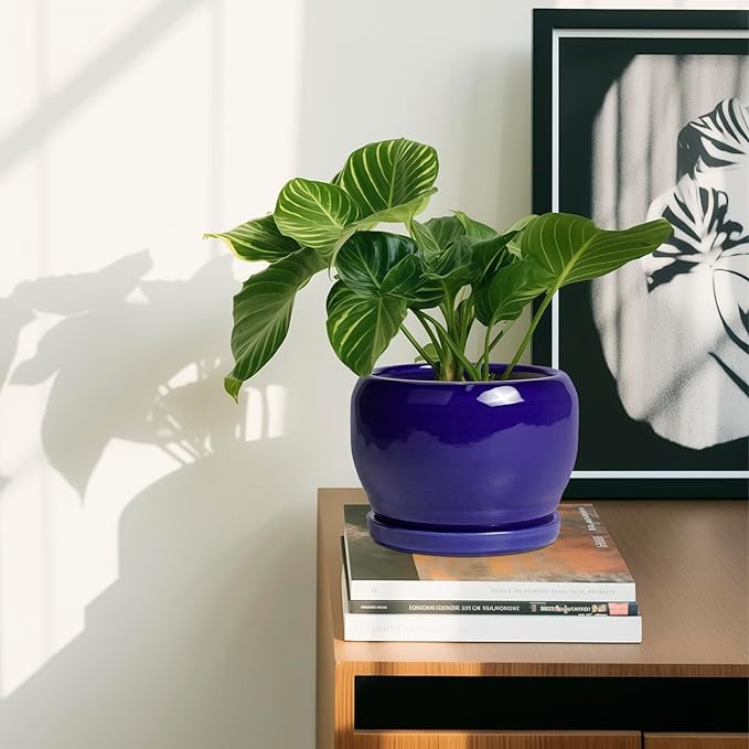 SQOWL Ceramic Planters for Indoor Plants - Image 6