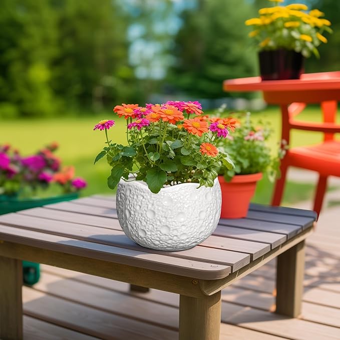 Ceramic Plant Pot - Image 5