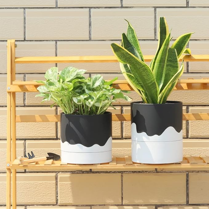 Nihow Self Watering Plant Pot: 6 Inch Ceramic Planter - Image 7