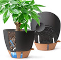 2 Pack 10 Inch Self Watering Pots by T4U