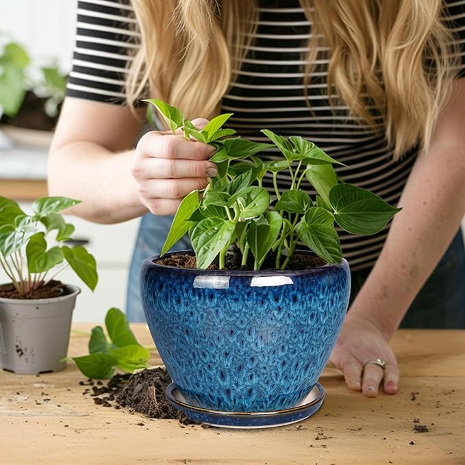 8 Inch Ceramic Plant Pot, Ceramic Planter Pot - Image 5