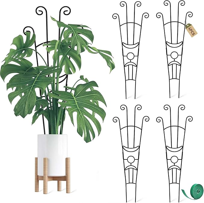 32.6in Monstera Plant Support Stakes by COOMIN