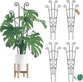 32.6in Monstera Plant Support Stakes by COOMIN