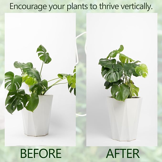 Monstera Stem Support - Image 3
