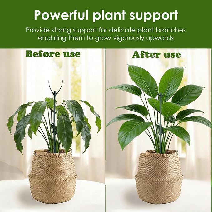 Stackable Monstera Moss Pole - Image 6