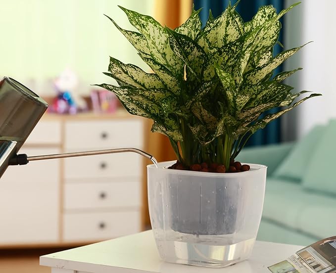 3-Pack Clear Self Watering Planters - Image 8