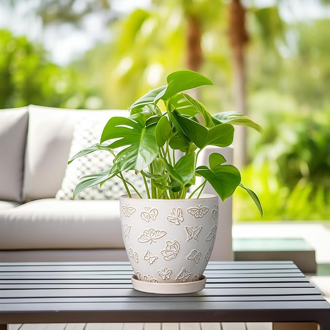 Ceramic Planter Pot - Image 2