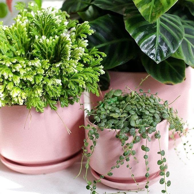 LE TAUCI Ceramic Plant Pots, 4.3+5.3+6.8 inch, Planters - Image 9