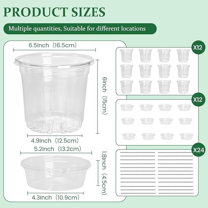 12 Pack 6.5 Inch Clear Self Watering Plant Pots - Image 2